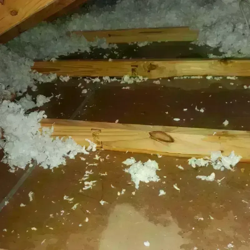 Attic Water Damage in Johnsonburg, PA