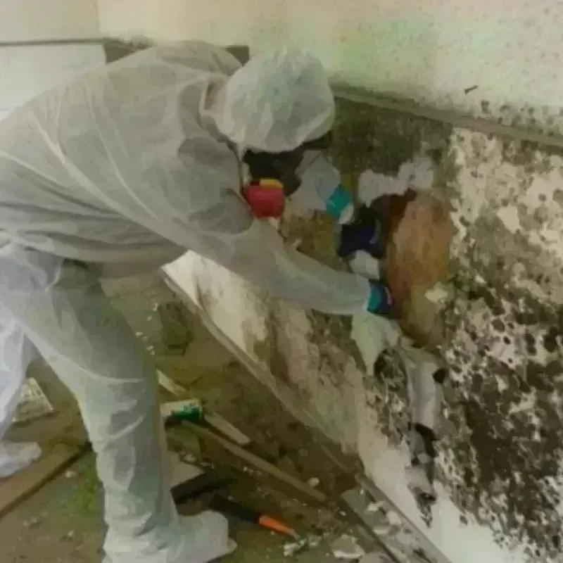 Mold Remediation and Removal in Johnsonburg, PA